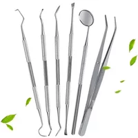 Stainless Steel Dentist Oral Tools Cleaning Flossing Tartar Removal Easy to Clean Not Easy to Break Dental Oral Mirror Care Kit