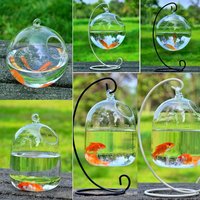 With Rack Holder Hydroponics Vase Wall Hanging Aquarium Decoration Vase Ornament Fish Tank Fish Bowl Hanging Glass Fish Bowl