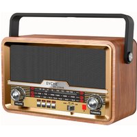 Retro Portable Radio FM AM SW Multiband with Bluetooth Speaker LED Light Remote Control Rechargeable AC DC BT U Disk TF Card