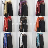 New Belly Dance Jazz Dance Hip Scarf for Beginners Practice Sequin Waist Scarf Hip Hop Versatile Belt