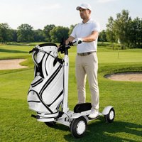 Powerful Golf Electric Scooter 10 Inch For Adults Dual Motor Foldable Mobility Scooter Removable Battery Password startup