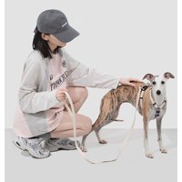Ultra-Light H-shaped Dog Harness and Leash Set Anti-Escape 4-Point Adjustable for Small Medium Large Dogs