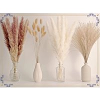 Natural Fluffy Pampas Grass & Bunny Tails, Dried Phragmites Boho Home Table Wedding Decor, Aesthetic Bouquet for Room Floor Vase