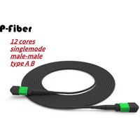MPO APC armored fiber jumper 12 cores singlemode male-male type B A 5m 10m 30m 50m MTP optical fiber patchcord outdoor SM 12C