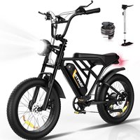 AliExpress HITWAY Electric Bicycle, 20 * 4.0 inch Off-Road EBIKE for Adults with 250W Motor and 48V 15Ah Battery, 7 Speed Snow Bike