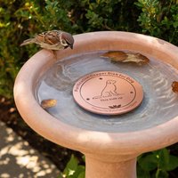 Bird Bath Copper Disc Dog Water Bowl Purification Plate Bird Bath Cleaner Copper Disc for Backyard Garden Apartment Indoor