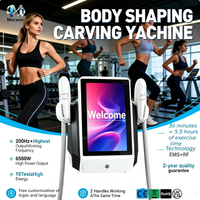 Professional RF EMS Body Fat Removal Machine Electric MuscleEMS Fat Burning Slimming Muscle Stimulator HI-EMT 6500W 2Handle Neo