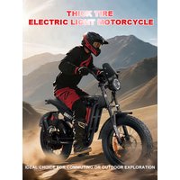 AliExpress baolujie OEM DM01 Electric Motorcycles Peak 3000W Brushless Gearless Motors 60V 30AH Lithium Battery Max Speed 42MPH Adult Off Road Ebike