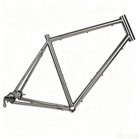 AliExpress NONE TIRIS-CRR9 Gravel Bike Frame with Sliding Dropout Gates Belts Drive for Rohloff Internal Gear Bicycle Framework 700C,Custom