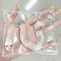 (HefengCL)Taba Transparent Snake TPR Squishy Toys, Prank Toy, Ideal Kids Party Gifts