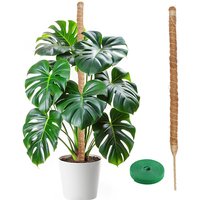 60-100CM Bendable Plant Climbing Support Moss Poles Monstera Palm Vines Extension Potted Plants Stick Home Garden Decor Supplies