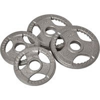PINGGO Set of 4 Weight Plate for 2 inch/5cm hole Dumbbell Handle Bar 15kg Dumbbell Plates Barbell Weight 2 x 5kg, 2 x 2.5kg