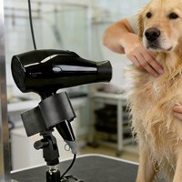 360° Rotating Pet Bath Hair Dryer Holder -Adjustable Heavy-Duty Metal Grooming Stand with Anti-Slip Suction Cup/Clamp Hands-Free