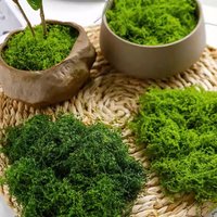 Artificial Green Plants Eternal Life Moss DIY Craft Faux Preserved Plant Moss Lawn Mini Landscape Fake Grass Plant Potting Decor