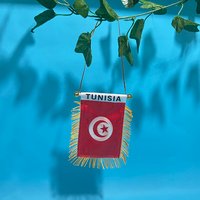 SKY FLAG Tunisia Car Window flag 8*12cm Polyester double side printed Tunisia Hanging pennant Flags Tunisia Mini flag