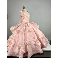 Custom Flower Girl Dress Wedding Gown First Christmas Party Dress 3D Floral Appliqué Sleeveless Ball Gown for Girls Wedding Firs