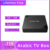 Great Bee Arabic TV Box Android 10 2G 16G Set Top Box Greatbee Arab Media Player
