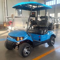 Lithium Electric Golf Cart, Permitted Clubhouse And Street Use 12-Inch Off-Road Tires Golf Bag Straps And Basket Sand Bucket X2