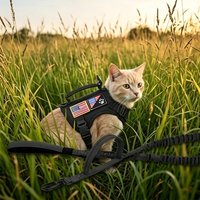 Tactical Cat Harness and Leash Set with Patches Adjustable Cat Vest for Walking No Pull Cat Leash with Elastic Leash for Outdoor