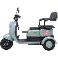 Electric Tricycle 600W 800W Home Pick-up & Drop-off Mini Small Elderly Assisted Scooter for Children & Adults