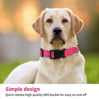 L-XL Size Adjustable Reflective Dog Collar Nylon Safety Pet Traction Rope Strap for Small to Medium-Sized Pets