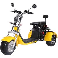 Long Range Off Road Citycoco 3 Wheels Tricycle Electric Scooter Electrique 2000W 3000W Three-wheel Scooter For Adults