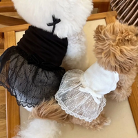 Pet Supplies Lace Pet Princess Dresses Fashion Breathable Dog Vest Soft Thin Design Pet Summer Clothes Autumn
