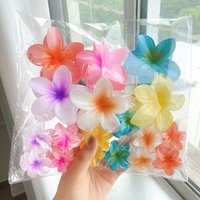 18pcs Colorful Gradient Hair Claws Plumeria Flower Bohemian Ponytail Clip Beach Headwear Summer Hair Accessories