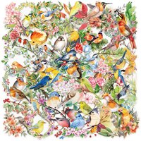 50PCS Transparent INS Watercolor Bird Sticker Pack-Waterproof PET for Scrapbooking Guitar&Notebook Decor