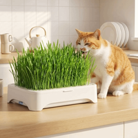 Plastic Cat Grass Planter Self-planted Tray Anti-Pull Out Soil-Free Nursery Box Growth System Cultivation Pot Sprout Tray