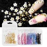 200pcs/Bag Nail Art Decoration Mixed Size Delicate 3D Resin Flowers Rhinestone Nail Parts Manicure Tool Nails Design Accessories
