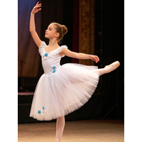 Girls & Adults White Romantic Dress with Blue Flowers Long Swan Lake High Quality Ballet Costume for Competition & Performance
