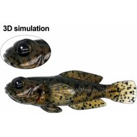 WATERBOY Fishing Lure 5pcs/pack Goby Softbait Swimbaits 0.33oz 3inch Reallistic Finest Detailed 75mm 9.3g Artificial Soft Lure