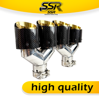 1PCS AK LOGO Real Carbon Fiber Exhaust Tip Gold Stainless Steel Dual Outlet car muffler pipe Universal Auto End Pipe Modify