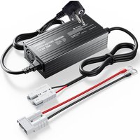 14.6V 20A Fast Charging LiFePO4 Battery Charger with Trickle Charging Functions, Dedicated Lithium Battery Charger