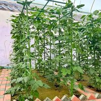 1set Climbing Plant Support Stakes, Multi-Purpose Durable Garden Rods for Tomatoes Cucumbers and Grape Vines xs63-fro