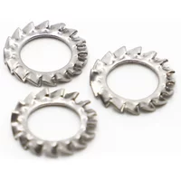 304 Stainless Steel External Toothed Gasket Serrated Lock Washers M2.5 M3 M4 M5 M6 M8 M10 M12 M14 M16 M18 M20