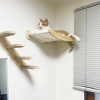 Cat Wall Mounted Hammock with Step Set Wooden Furniture Climbing Ladder Scratching Rope Shelf Bed for Indoor Cats Accessories