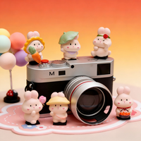 Lovely Kawaii Rabbit Camera Hot Shoe Cover for Fuji XT5 XT50 Leica Nikon Z30 ZF Snoy ZVE10 Canon R50 DSLR Mirrorless Accessories