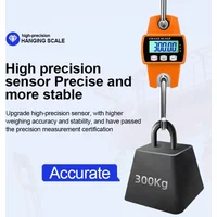 AliExpress NONE Multifunction Digital Hanging Scale 200/300KG LCD Handheld Weighing Tool for Suitcase, Fishing, Bike & Industrial Load Testing