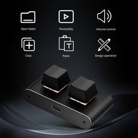 Mini 2 Keys Mechanical Keyboard RGB Programmable Macro USB-C Shortcut Keypad Gaming Office Copy Paste Aluminum shell Wired