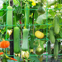 Heavy-duty climbing support net for fruits and vegetables, nylon-reinforced cucumber and loofah support net, vine support to pre