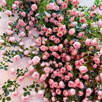 Artificial Rose Flowers for Wedding Home Room Decoration Autumn Garden Outdoor Arch Christmas Rattan DIY Fake Plants Vine