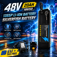 Abnehmbarer Silver Fish E-Bike Lithium-Akku 36V/48V/52V/60V 10Ah 12Ah 15Ah 20Ah Lithium-Akkupack mit BMS für 250W-1800W klappbare E-Zweiräder