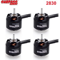 1/4 Stück Surpass Hobby 2830 1300KV 1000KV 850KV 750KV Outrunner Bürstenloser Motor für RC 300g-700g Starrflügelflugzeug