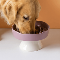 Ceramic Cat Slow Food Bowl Cute Multi-use Pet High Foot Bowl Large Capacity Anti Tipping Dog Feeding Basin Water Container