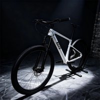 29er Carbon Fiber Mountain Bike Adult Hardtail Mtb Bicycle Hydraulic Disc Brakes Four Pistons Lightweight Off Road Cycling Bike