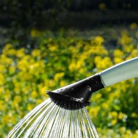 Watering Can Spray Head Cap Sprinkler Nozzle Pitcher Cap Water Can Sprinkler Head Replacemnet Garden Kettle Sprayer Head