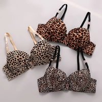 New 2025 Leopard Print Upper Thin Lower Thick Bra Set Sexy Push-Up Bra Set