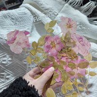 6 Sheets Large Size Plants Flowers Stickers DIY Scrapbooking Planner Collage Diary Supplies Aesthetics Sticker Stationery